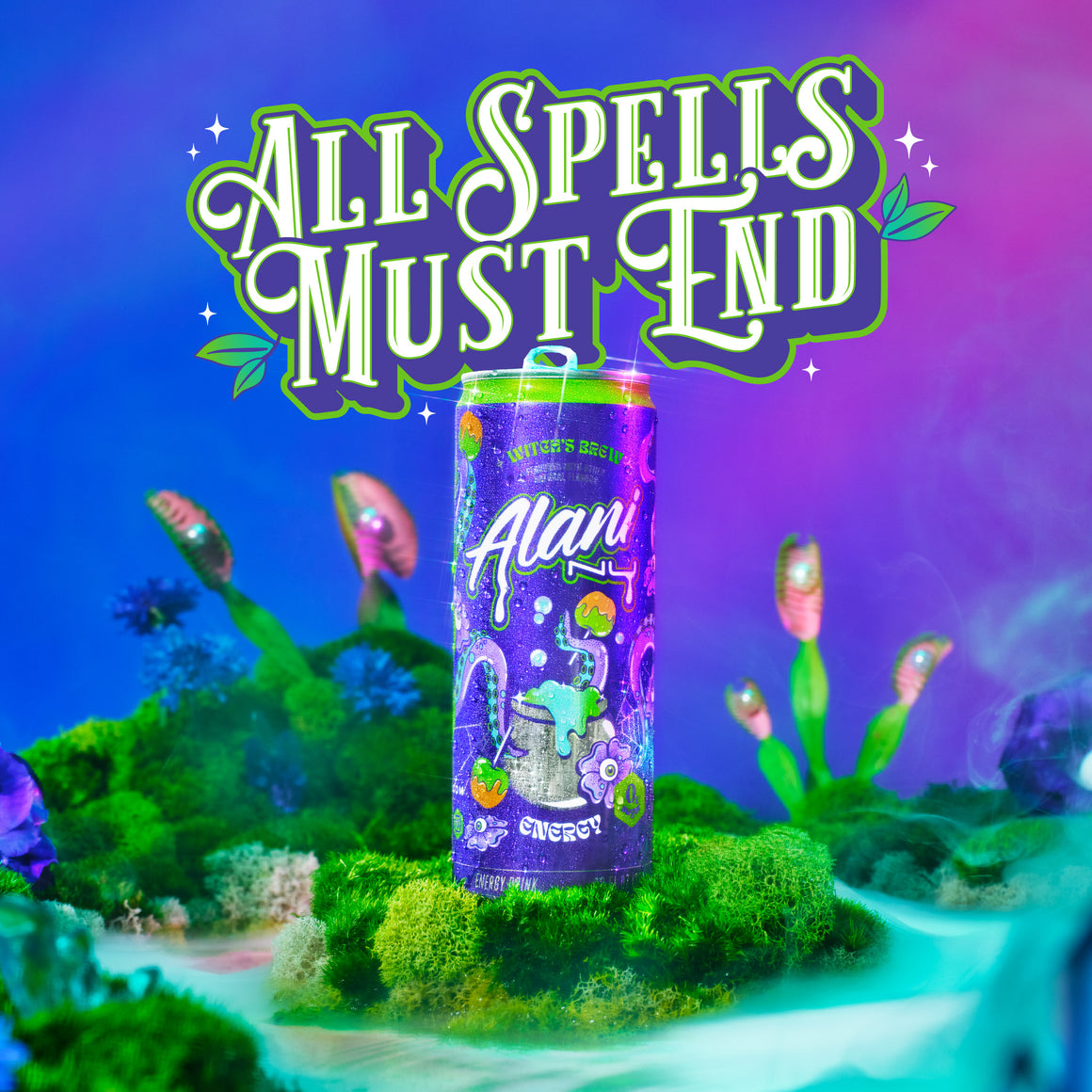 Witch’s Brew can on moss with Venus flytraps